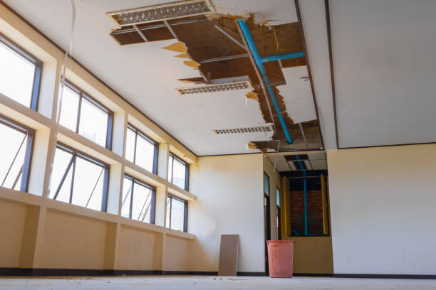 Best Professional water damage repair  in Conway Springs, KS