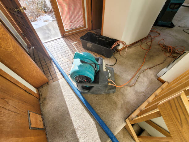 Professional Water damage restoration in Conway Springs, KS