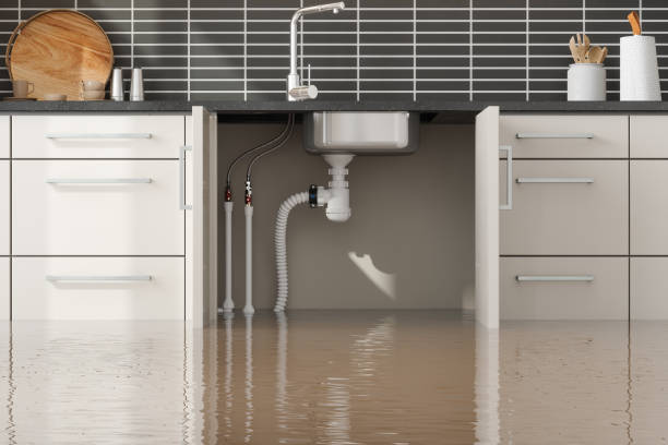 Best Water damage restoration services  in Conway Springs, KS